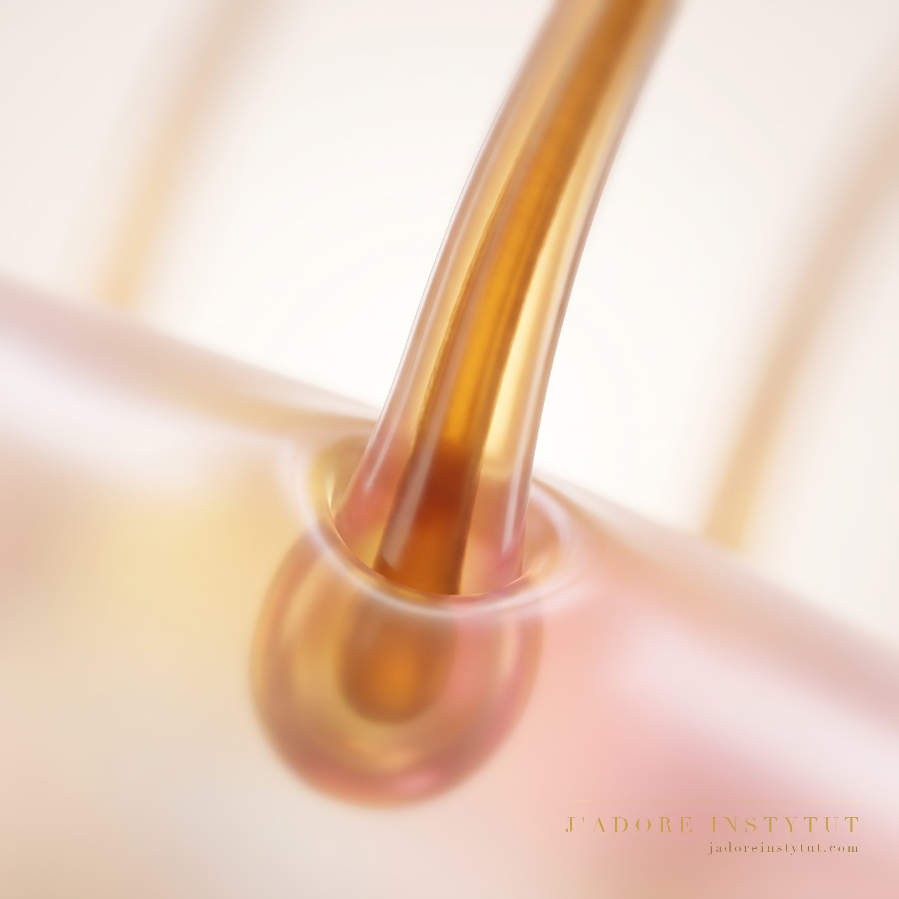 Three levels in cross-section: the outer cuticle of the hair, its interior beneath, and deepest of all the follicle right at the root. The formula loosens the bonds inside the hair, and the new direction holds for several weeks. The skin of the eyelid is not the working area — we work on the hair itself.